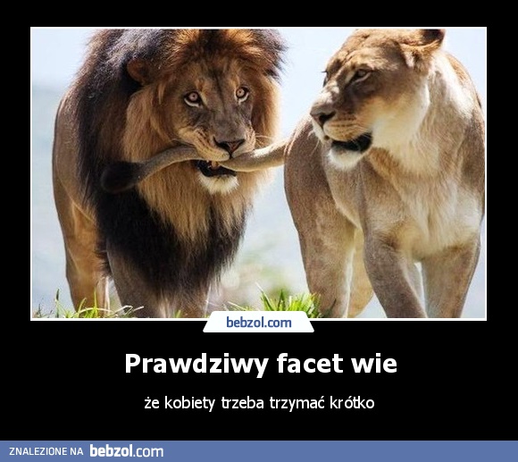 Prawdziwy facet wie