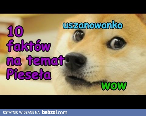 10 faktów na temat Pieseła