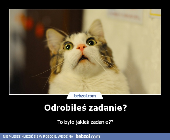 Odrobiłeś zadanie?