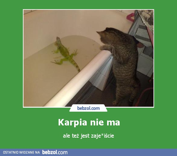 Karpia nie ma