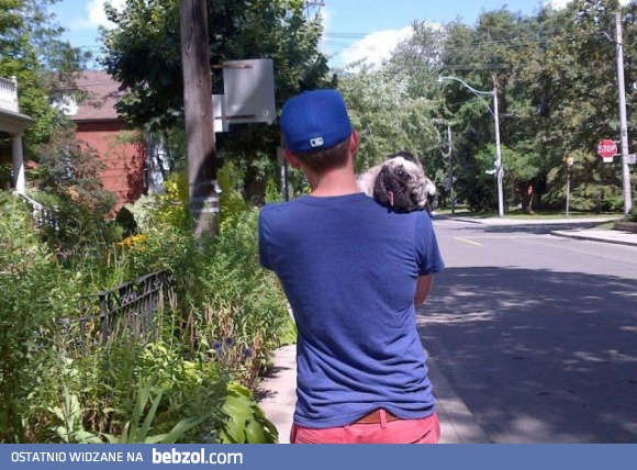 Piesek się zmęczył