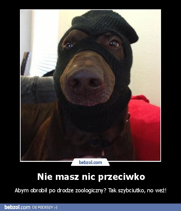 Nie masz nic przeciwko