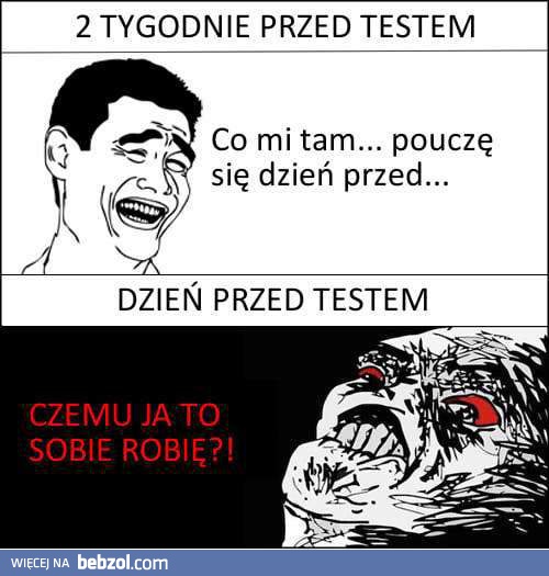 Przed egzaminem