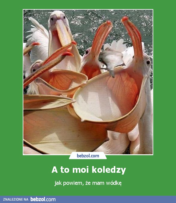 A to moi koledzy