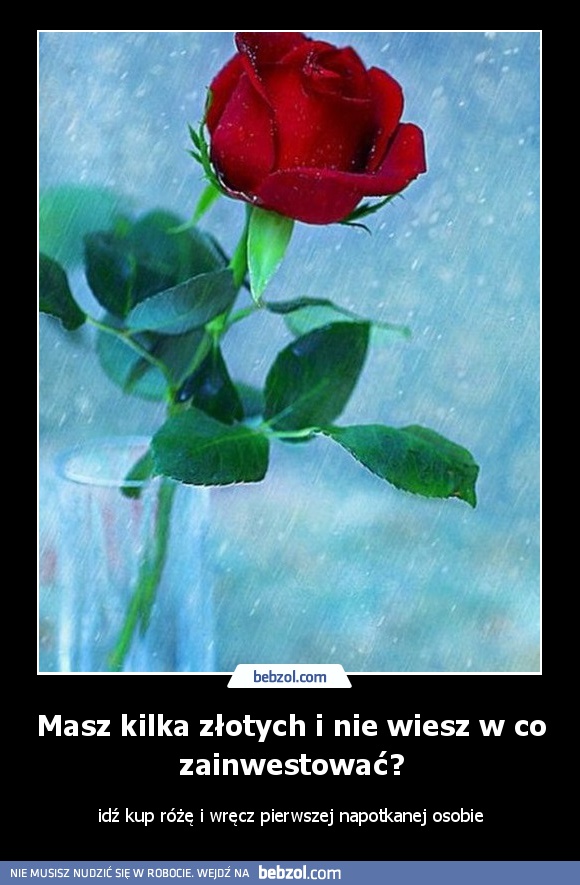 Masz kilka złotych i nie wiesz w co zainwestować?