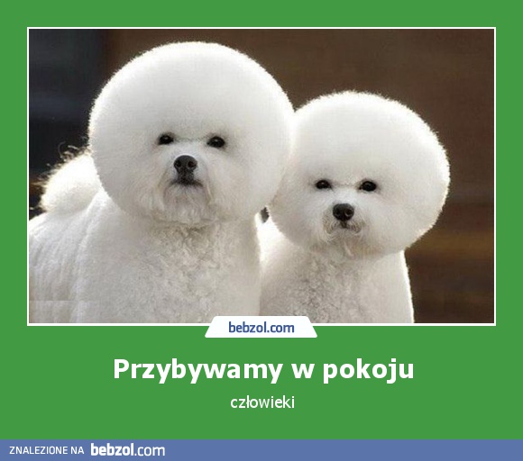 Przybywamy w pokoju