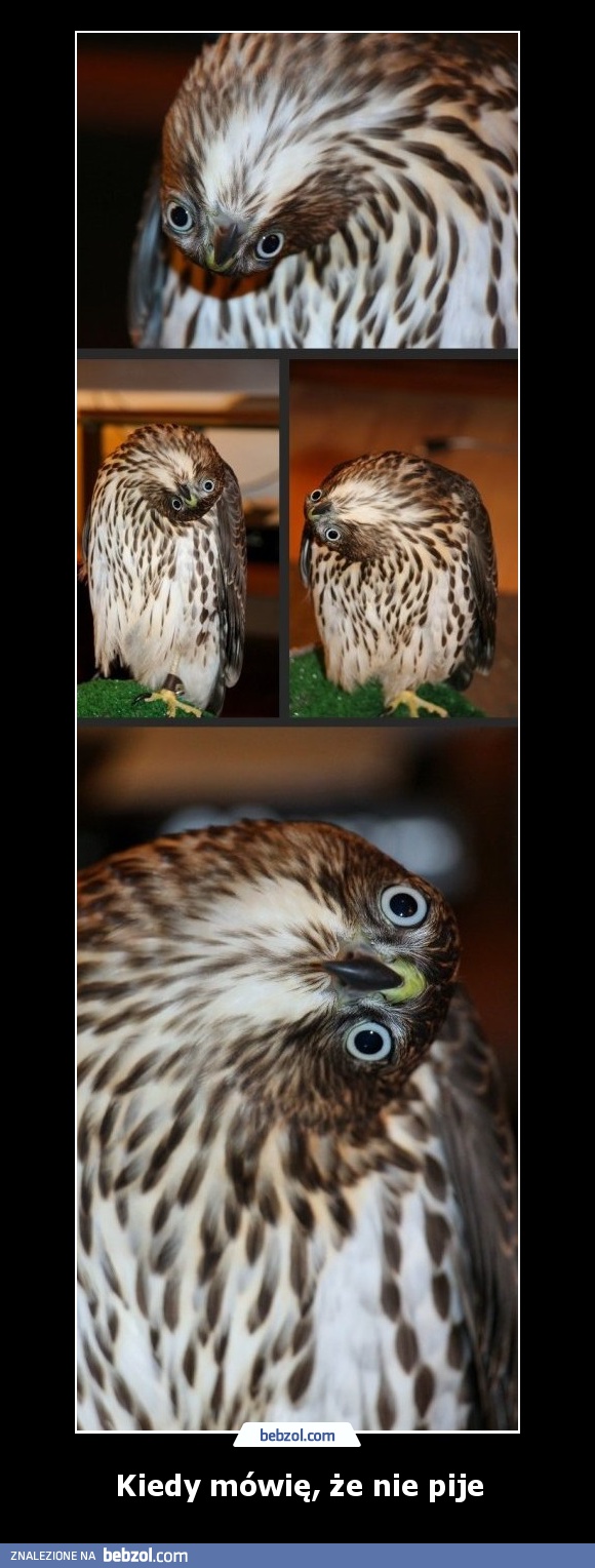 Kiedy mówię, że nie pije