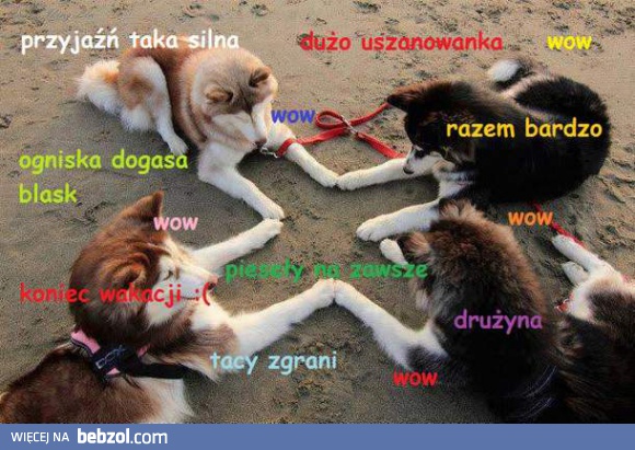 Piesełowa przyjaźń