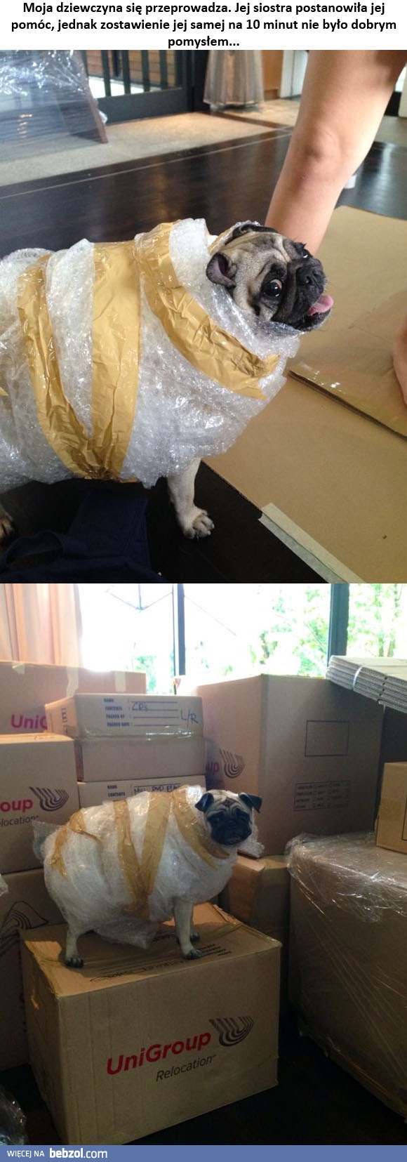 Gotowy do przeprowadzki