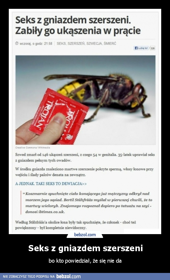 Seks z gniazdem szerszeni