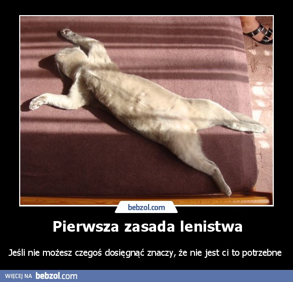 Pierwsza zasada lenistwa