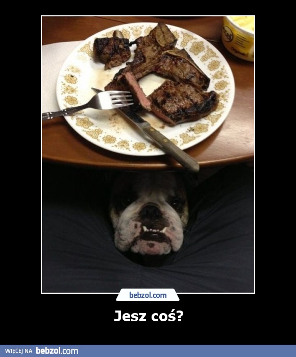 Jesz coś?