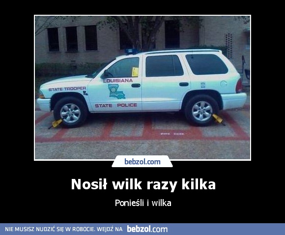 Nosił wilk razy kilka