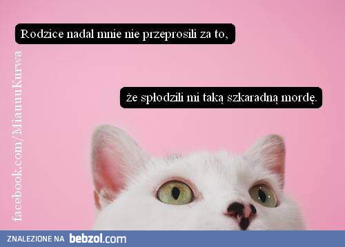 Powinni mnie przeprosić!