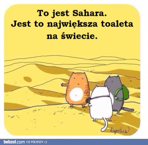 Co to jest Sahara