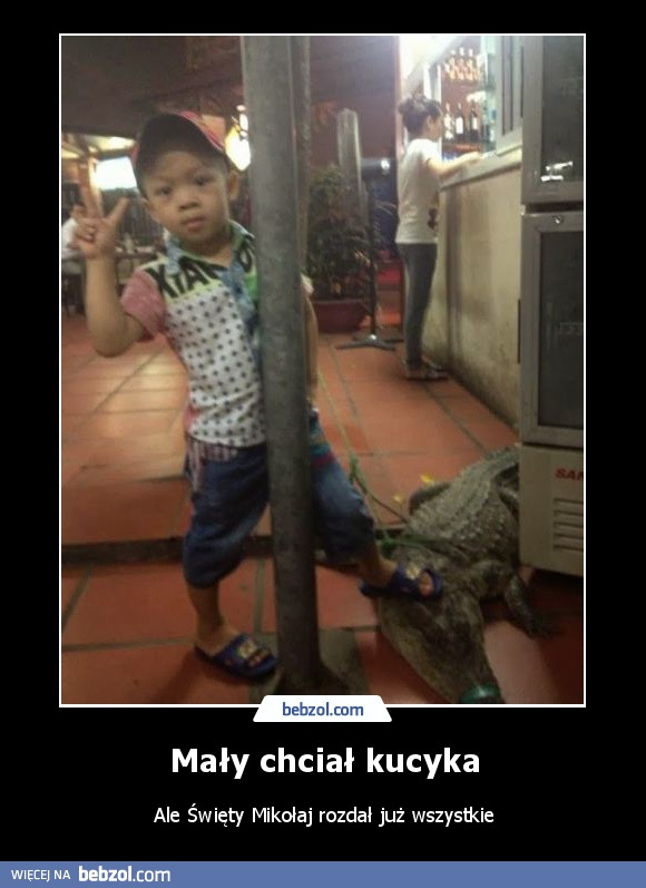 Mały chciał kucyka