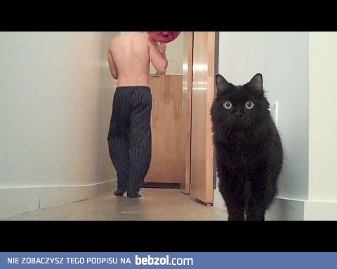 Co ja właśnie zobaczyłem?!