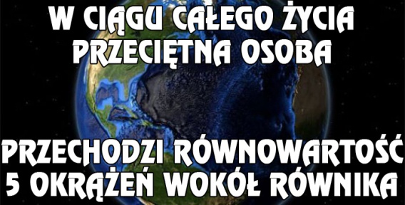 Ciekawostki o których nie miałeś pojęcia (10 zdjęć)