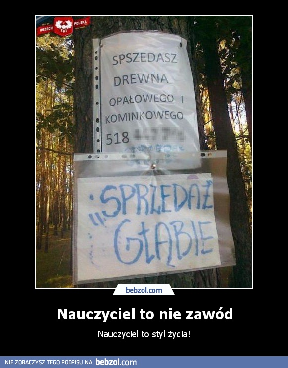 Nauczyciel to nie zawód