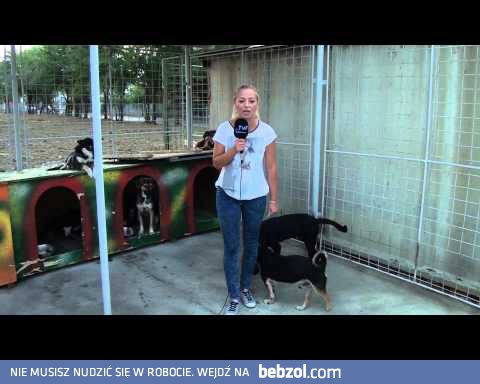 Olewam takie wiadomości!