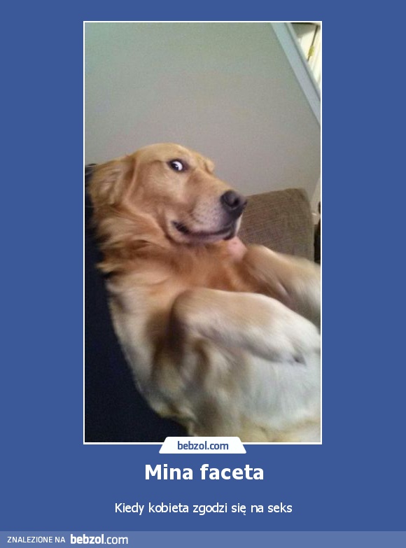 Mina faceta kiedy...