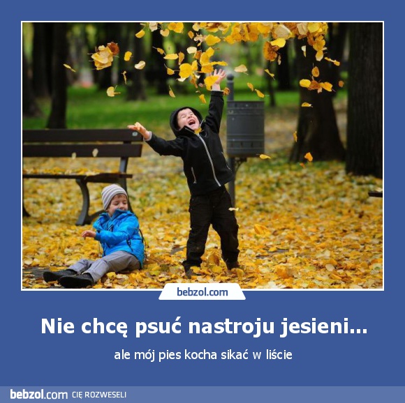 Nie chcę psuć nastroju jesieni...