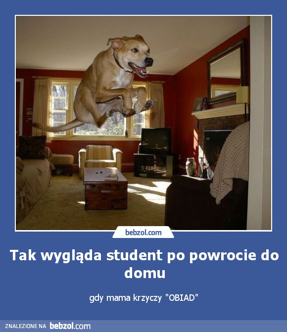 Tak wygląda student po powrocie do domu