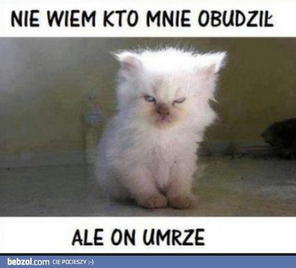 Nie wiem kto mnie obudził...
