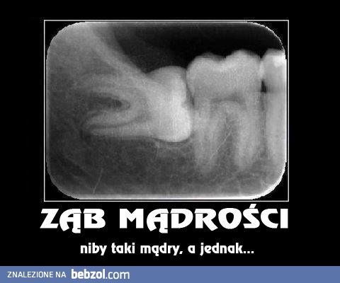 Ząb mądrości