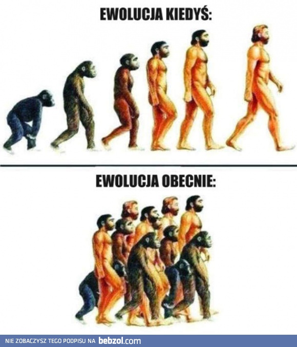 Ewolucja dawniej i dziś