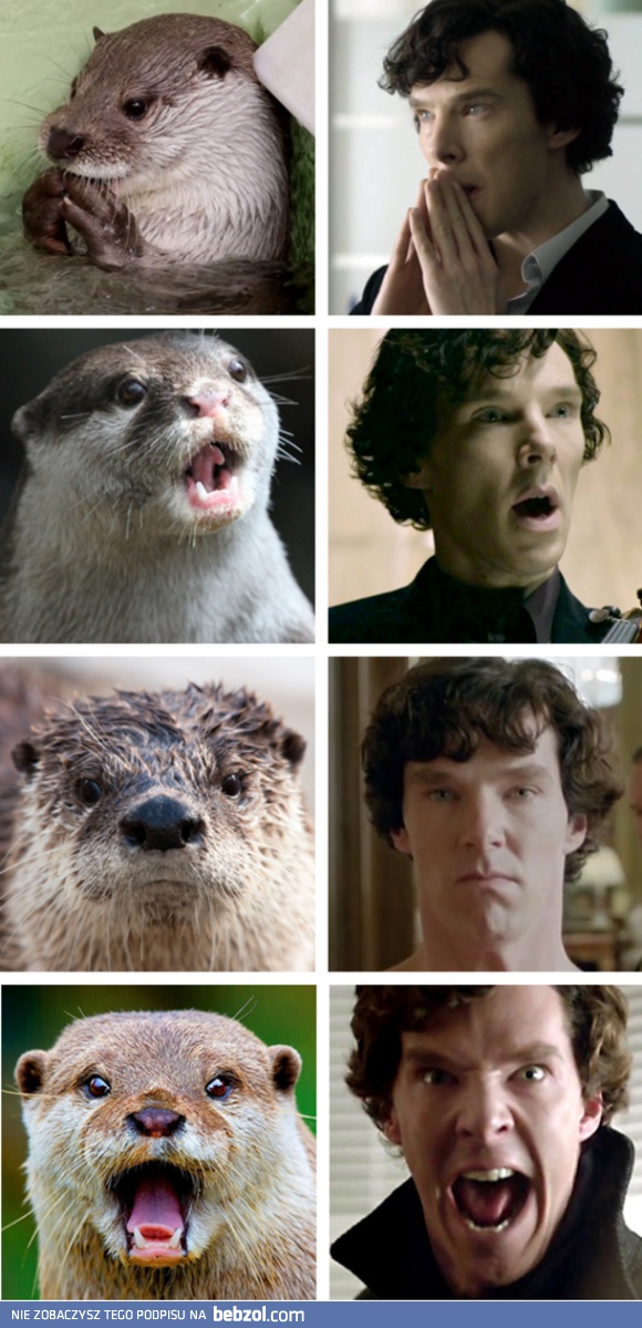 Kilka twarzy Sherlocka