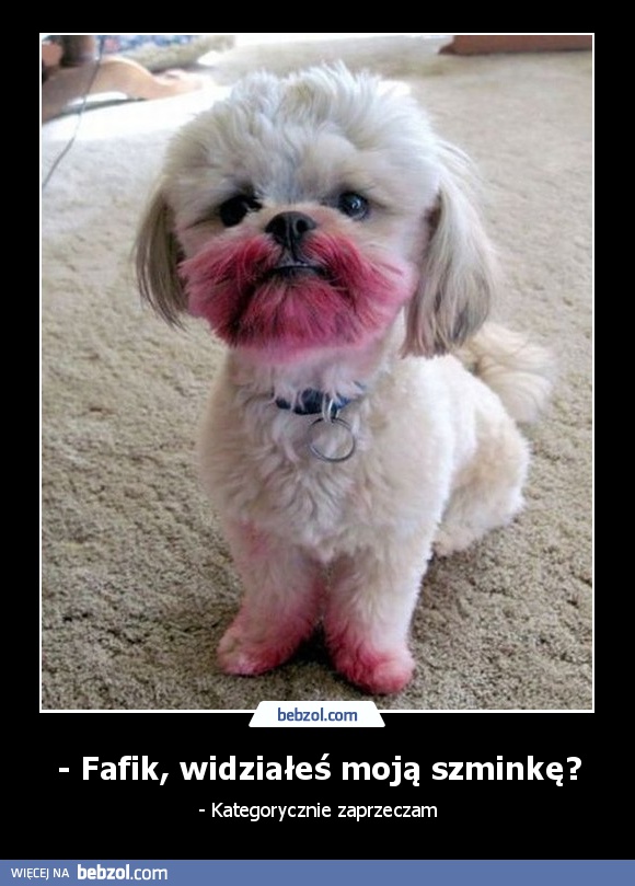 - Fafik, widziałeś moją szminkę?