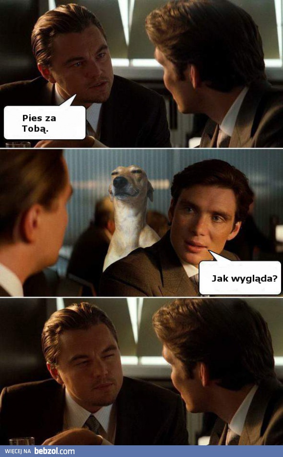 Uważaj na psa!