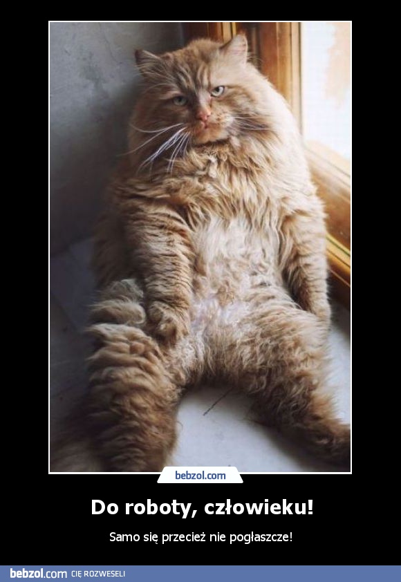 Do roboty, człowieku!