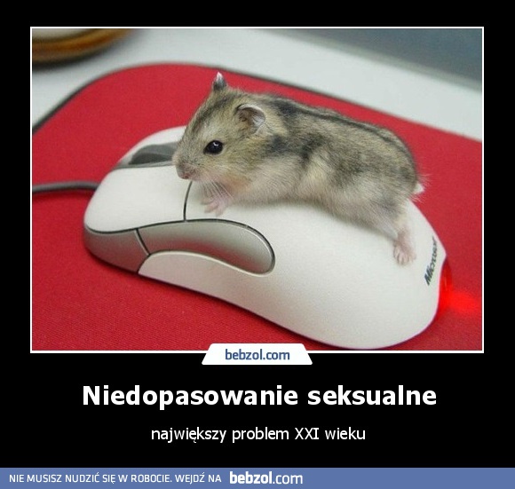 Niedopasowanie skesualne