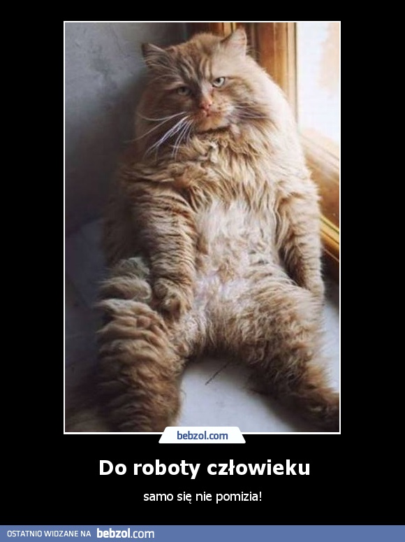 Do roboty człowieku