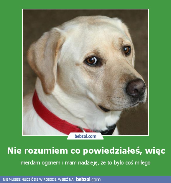 Nie rozumiem co powiedziałeś, więc