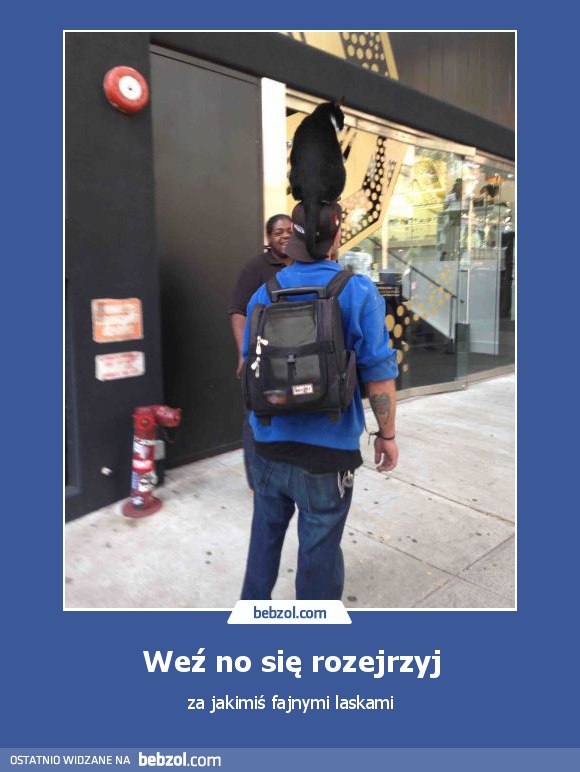 Weź no się rozejrzyj