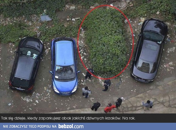 Uważaj gdzie parkujesz!