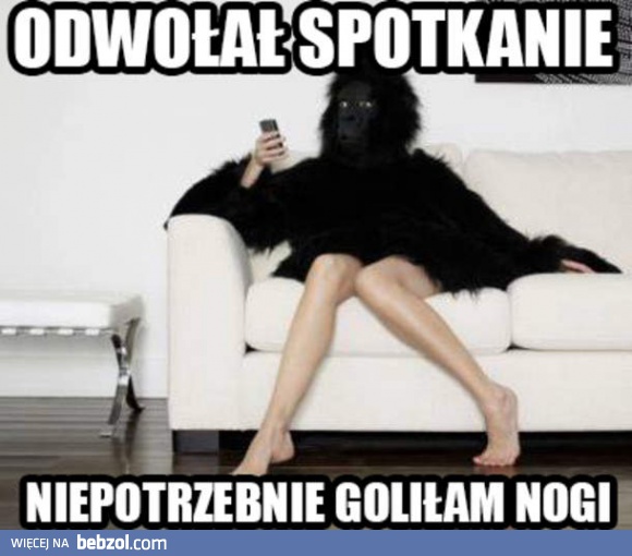 Odwołał spotkanie