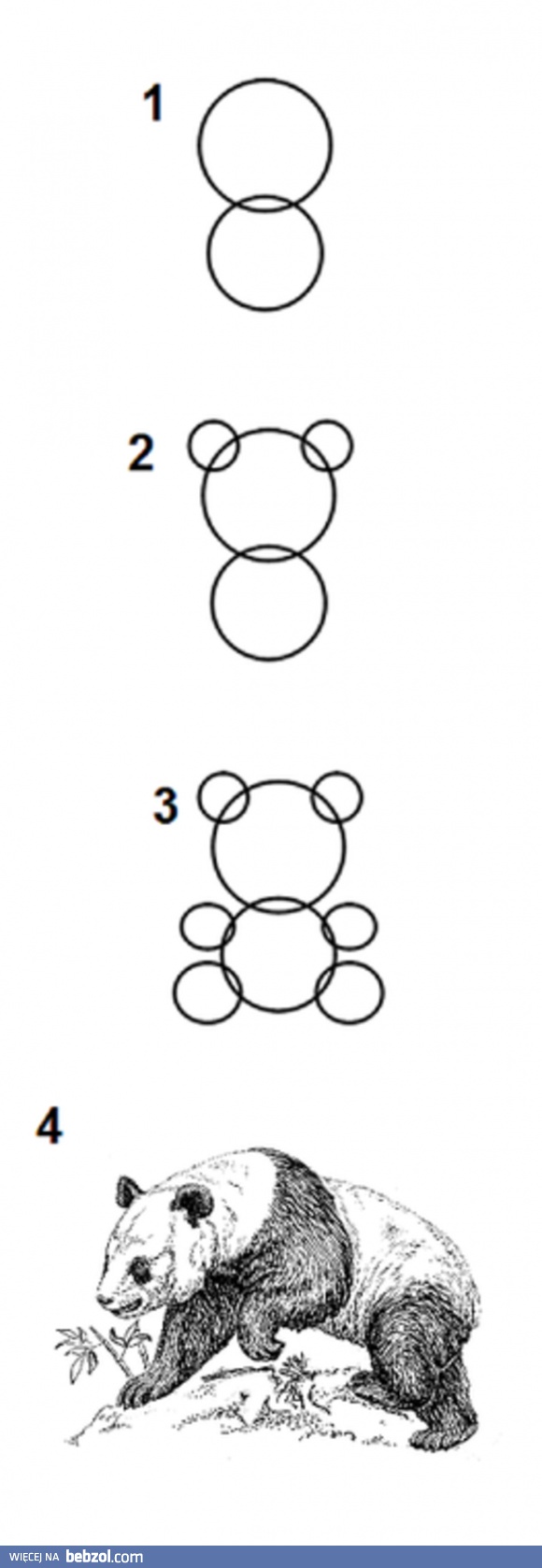 Jak szybko narysować pandę?