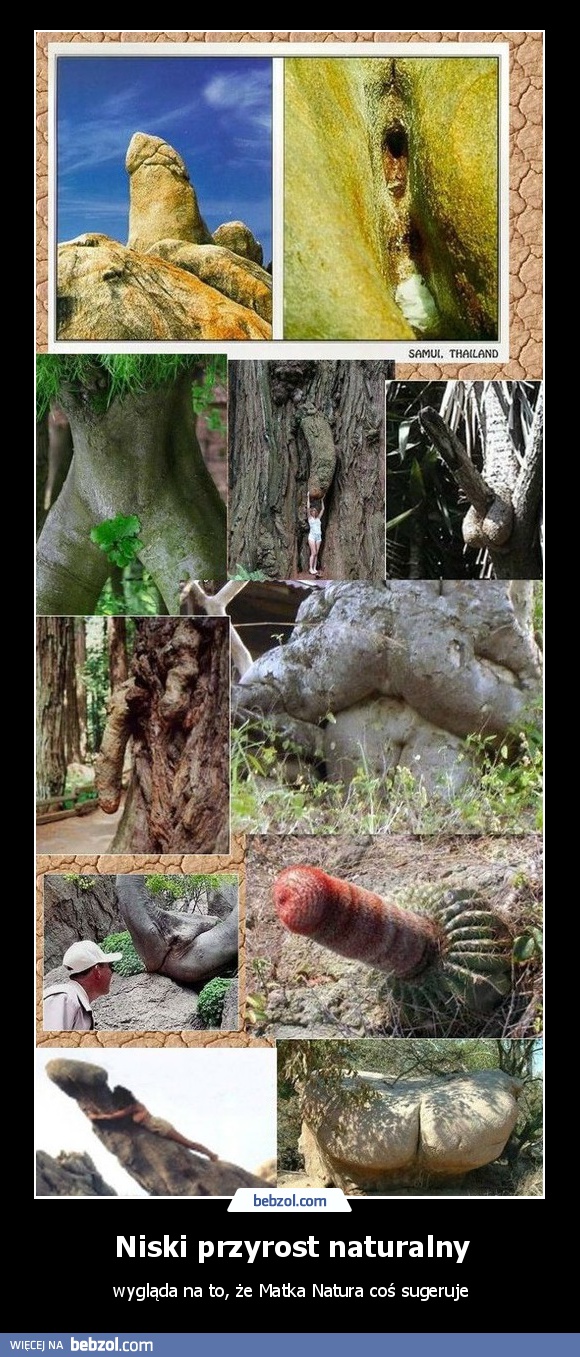 Niski przyrost naturalny