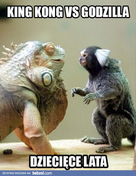 King Kong vs Godzilla