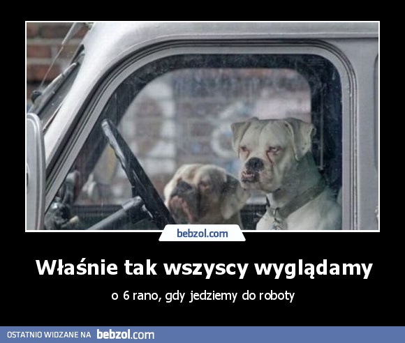 Właśnie tak wszyscy wyglądamy