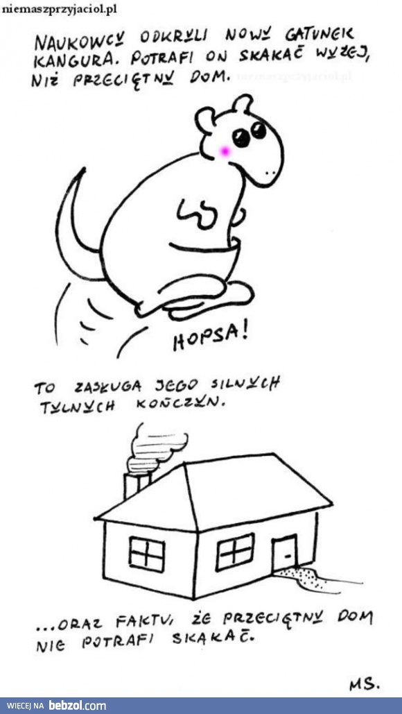 Niesamowity gatunek kangura!