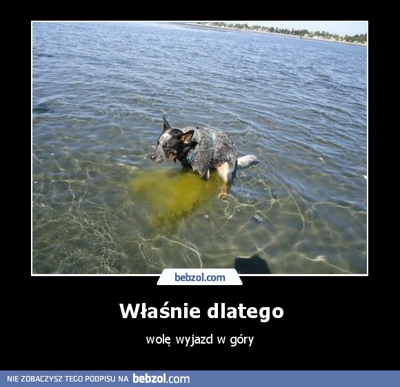 Właśnie dlatego