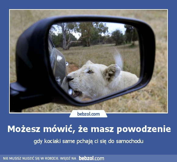 Możesz mówić, że masz powodzenie