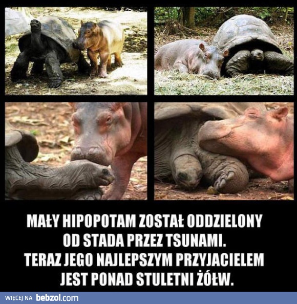 Nietypowa przyjaźń