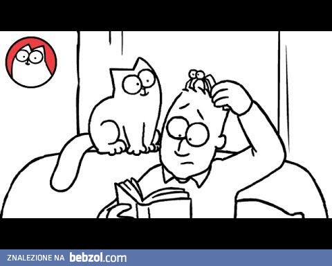 Kot Simona - straszne nogi