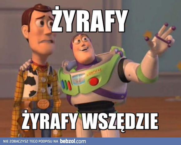 Żyrafy